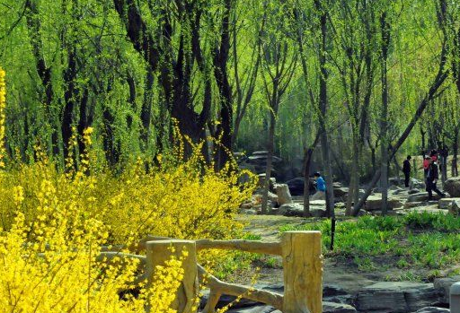 清明踏青回來啦，要訂礦用鉆機(jī)的盡管來吧